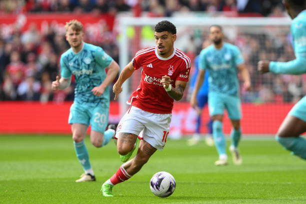 承载了许多 承载了许多